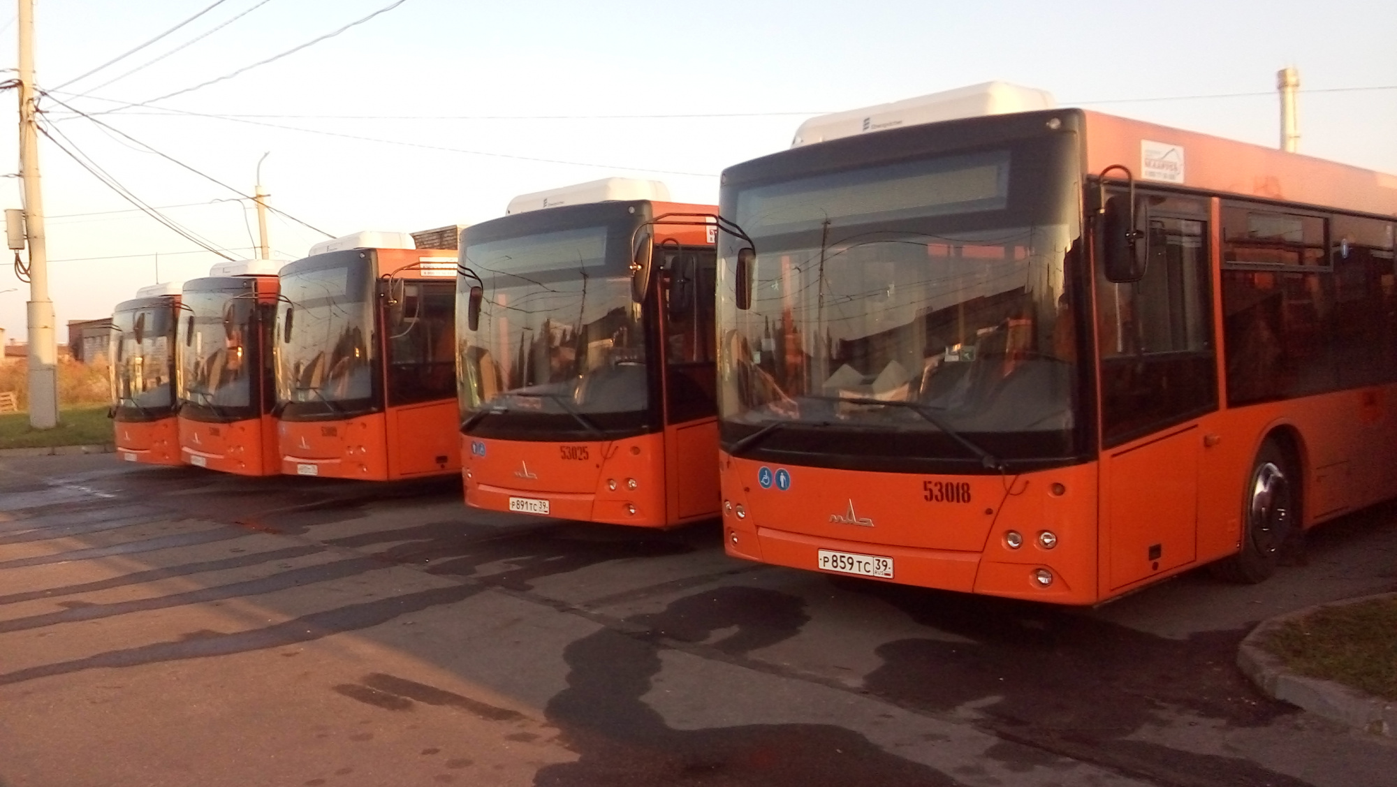 ЕМ Инжиниринг Повышает Безопасность Калининградских Автобусов с Беспроводными Системами Видеонаблюдения